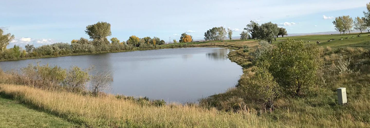 Ponds Lakes